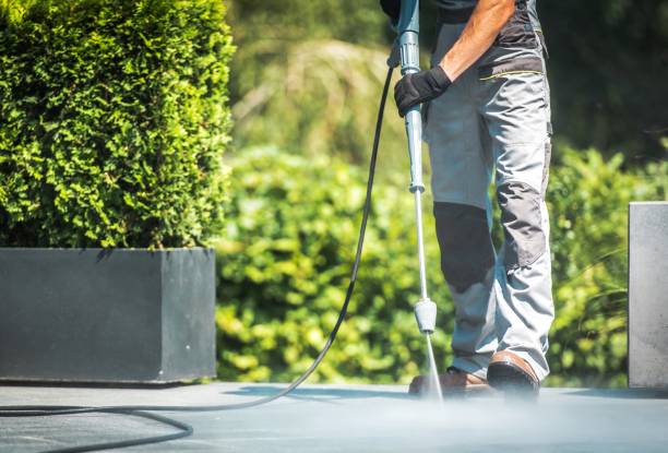 Best Driveway Pressure Washing  in North Auburn, CA