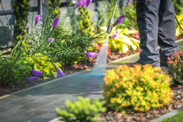 Best Dumpster Area Cleaning  in North Auburn, CA